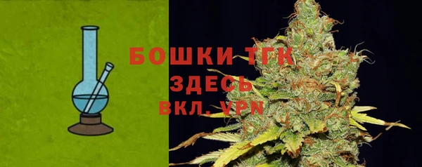 ГАЛЛЮЦИНОГЕННЫЕ ГРИБЫ Вязьма