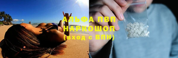 ГАЛЛЮЦИНОГЕННЫЕ ГРИБЫ Вязьма