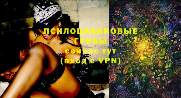 a pvp Верея